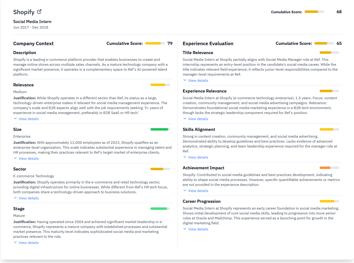 Detailed Experience Analysis Interface